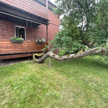 Ferienwohnung Am Kirschenbaum Steinhude Esterno foto