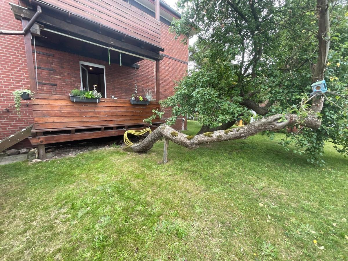Ferienwohnung Am Kirschenbaum Steinhude Esterno foto
